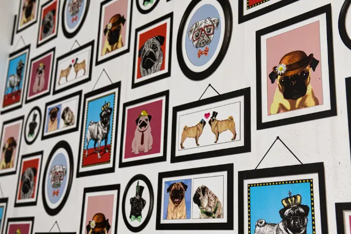 toilettage chien et chat belgique