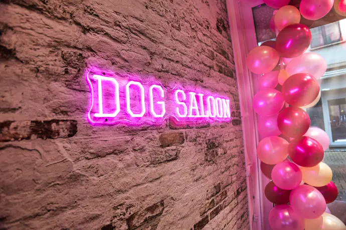 Dog Saloon Givet