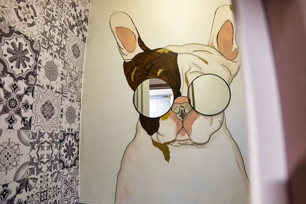 toilettage chien et chat