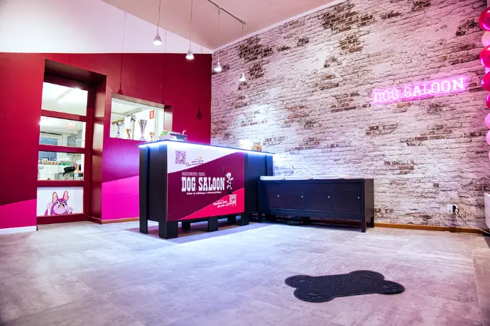 salon de toilettage chatelet belgique