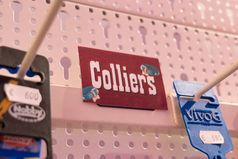 accessoires pour chien