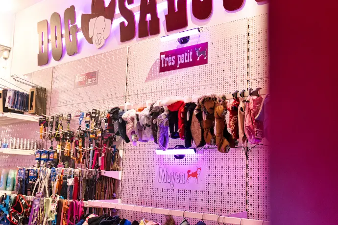 vente vetement chien